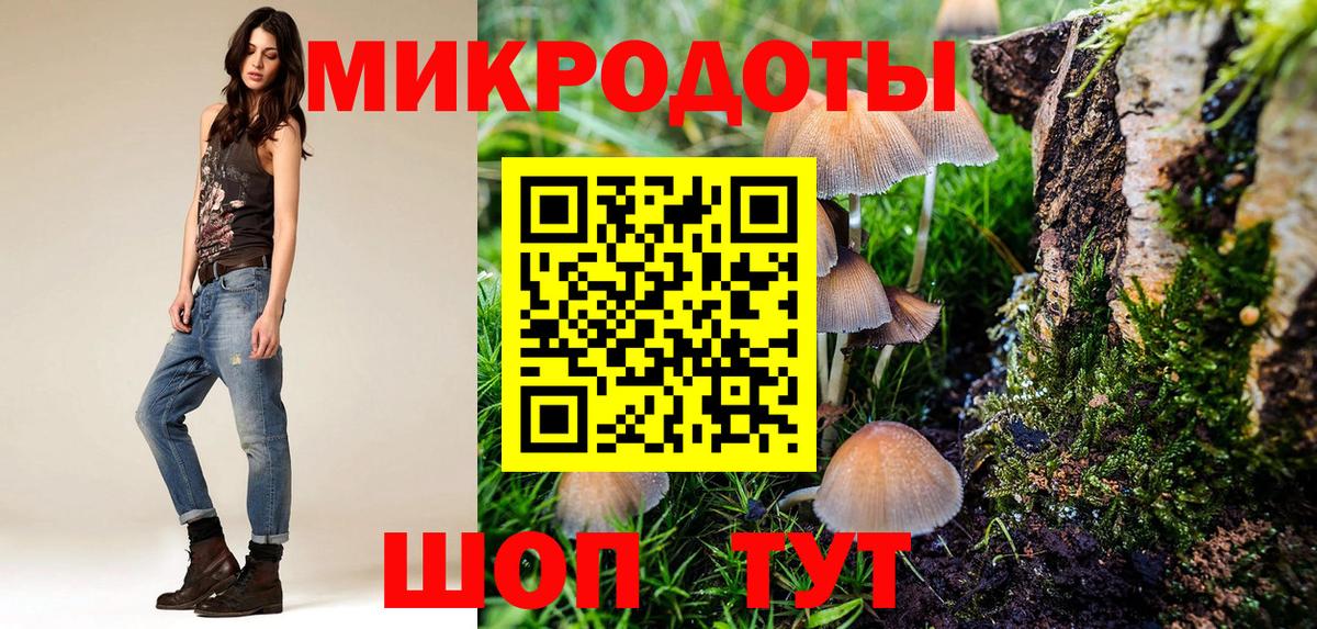 Псилоцибиновые грибы Cubensis  Вход с VPN  Глазов 