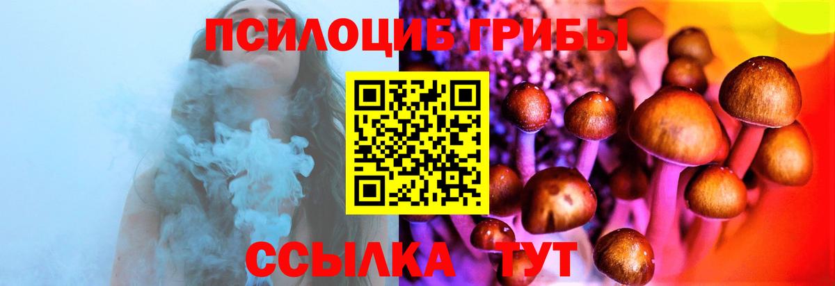 Галлюциногенные грибы Psilocybine cubensis Глазов